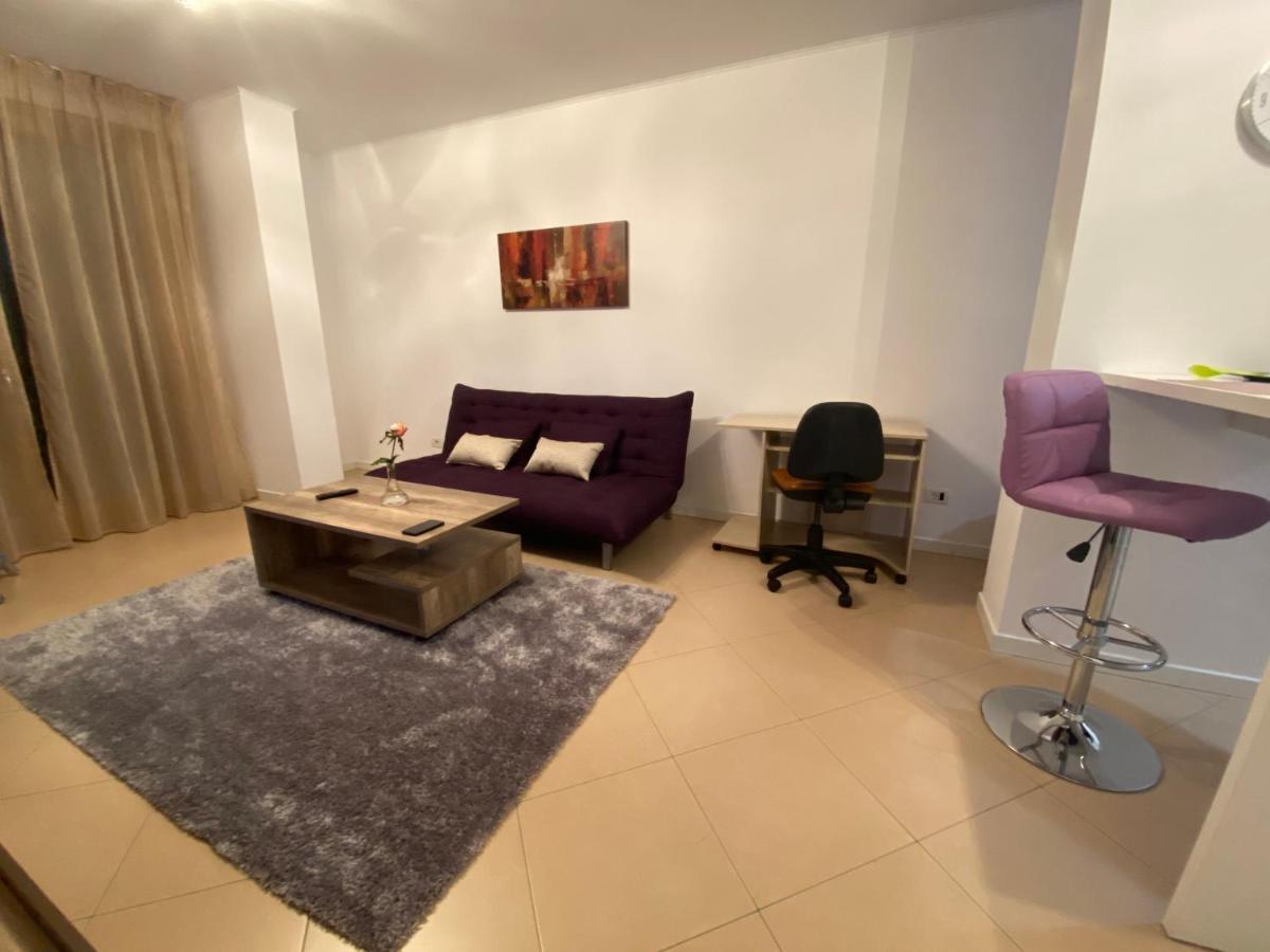 Central Apartment Τιμισοάρα Εξωτερικό φωτογραφία