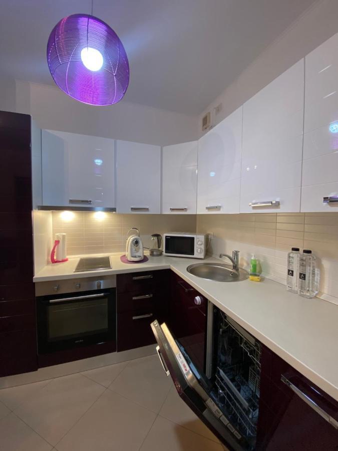 Central Apartment Τιμισοάρα Εξωτερικό φωτογραφία