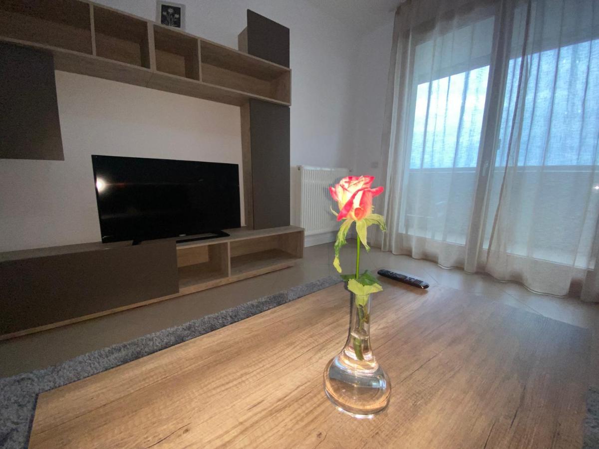 Central Apartment Τιμισοάρα Εξωτερικό φωτογραφία
