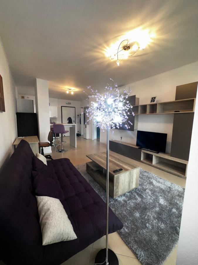 Central Apartment Τιμισοάρα Εξωτερικό φωτογραφία
