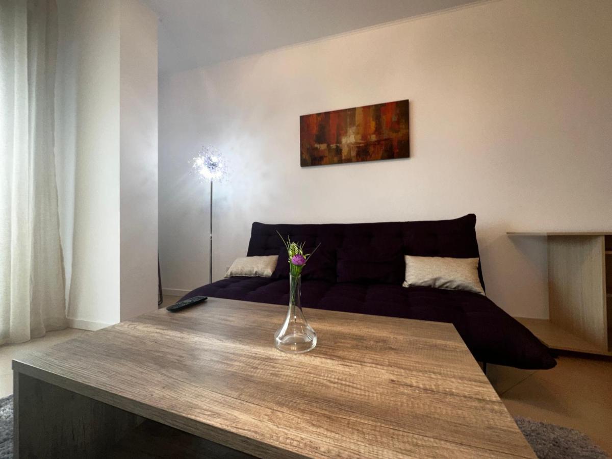 Central Apartment Τιμισοάρα Εξωτερικό φωτογραφία