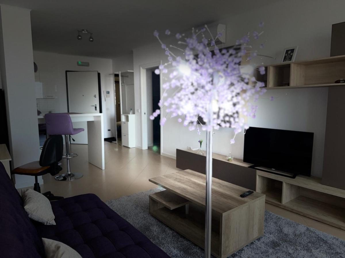 Central Apartment Τιμισοάρα Εξωτερικό φωτογραφία