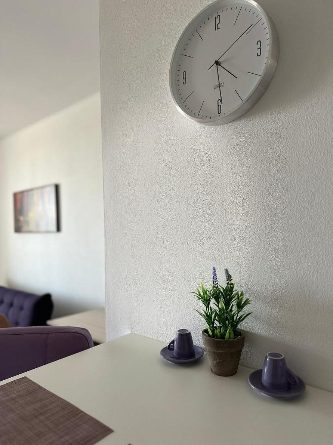 Central Apartment Τιμισοάρα Εξωτερικό φωτογραφία
