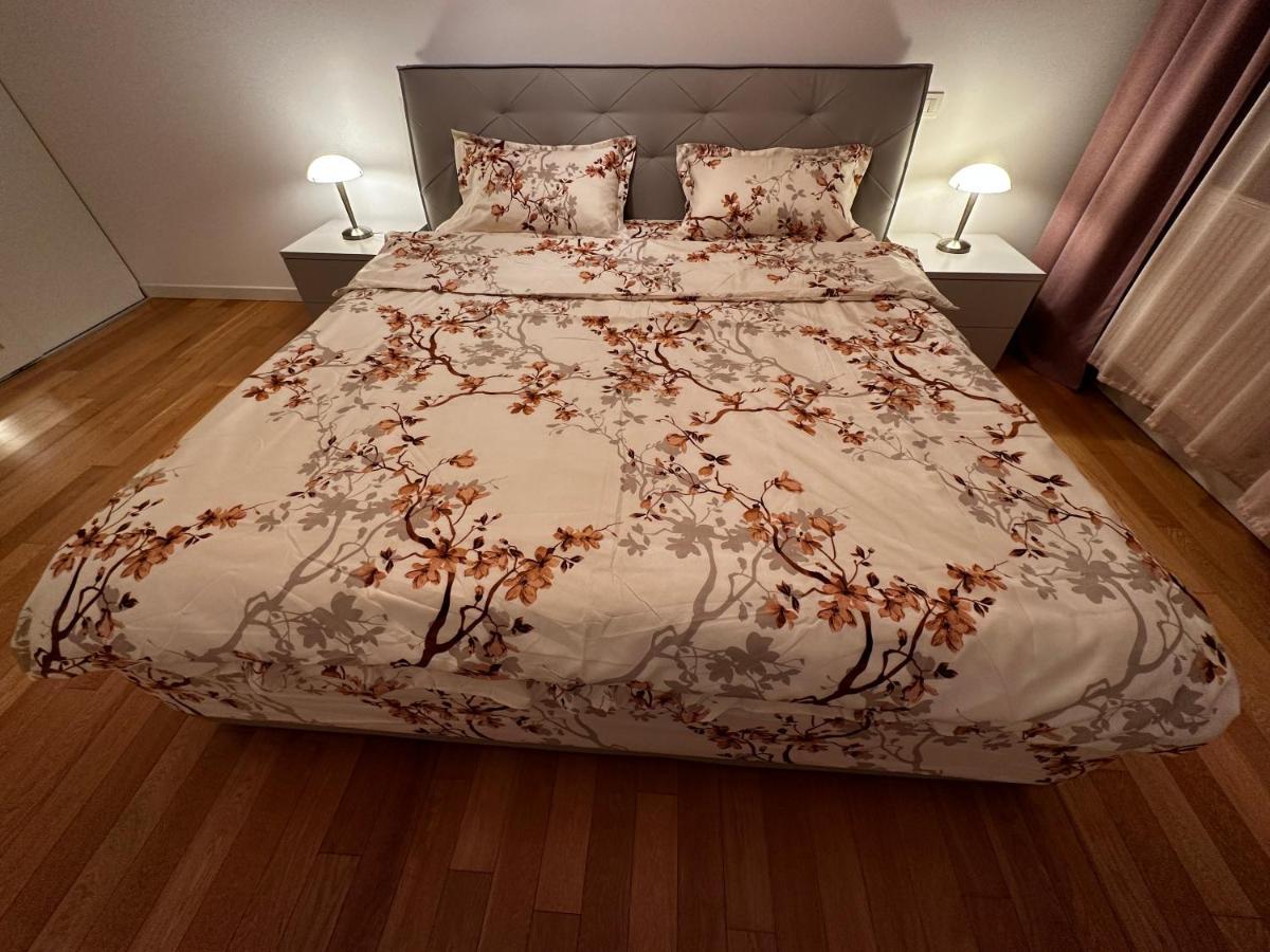Central Apartment Τιμισοάρα Εξωτερικό φωτογραφία
