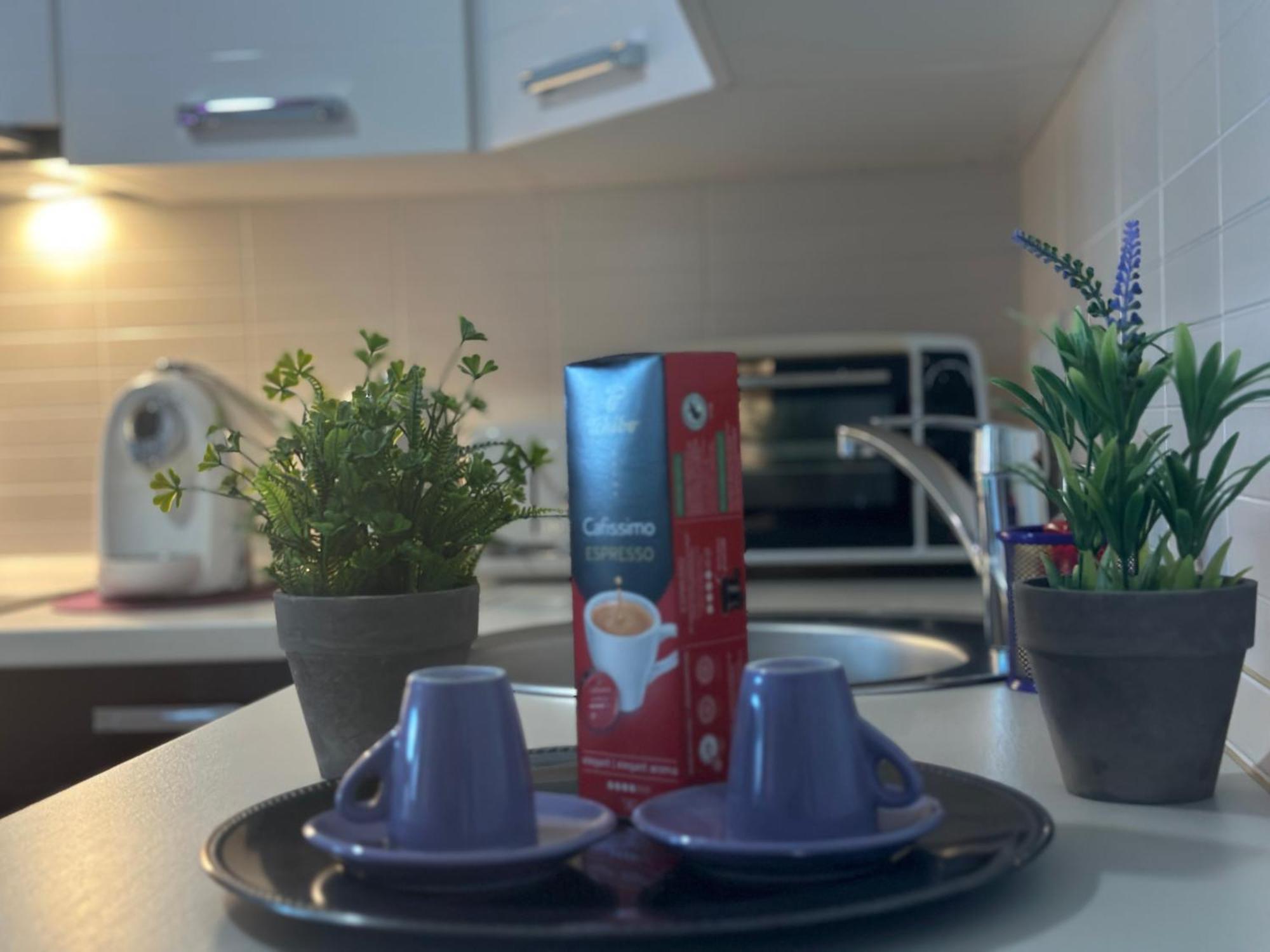 Central Apartment Τιμισοάρα Εξωτερικό φωτογραφία